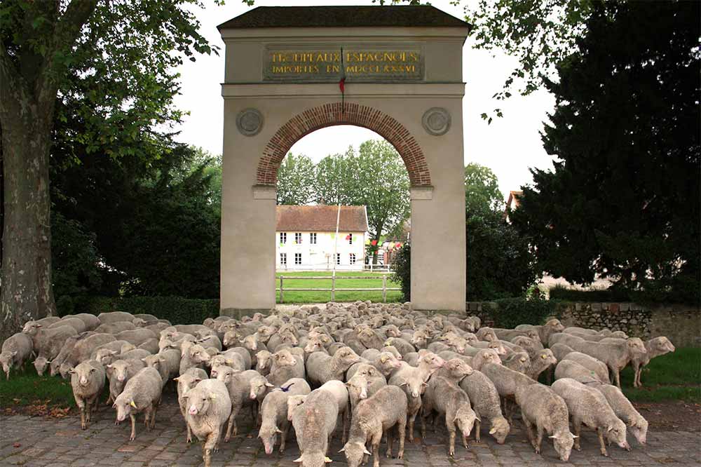 Bergerie Nationale